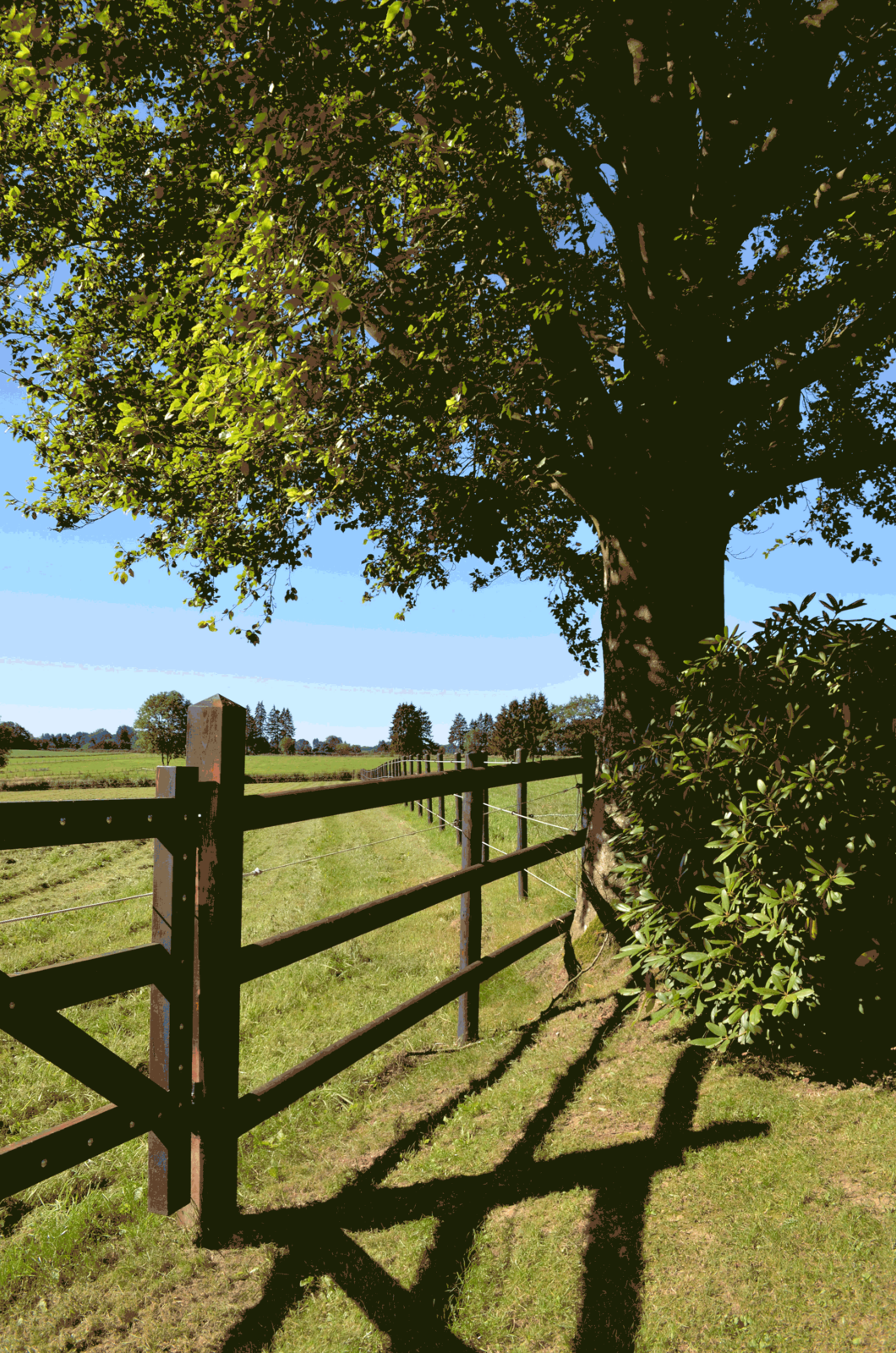 04 Imbaum Gartenbau 5 1060x1600