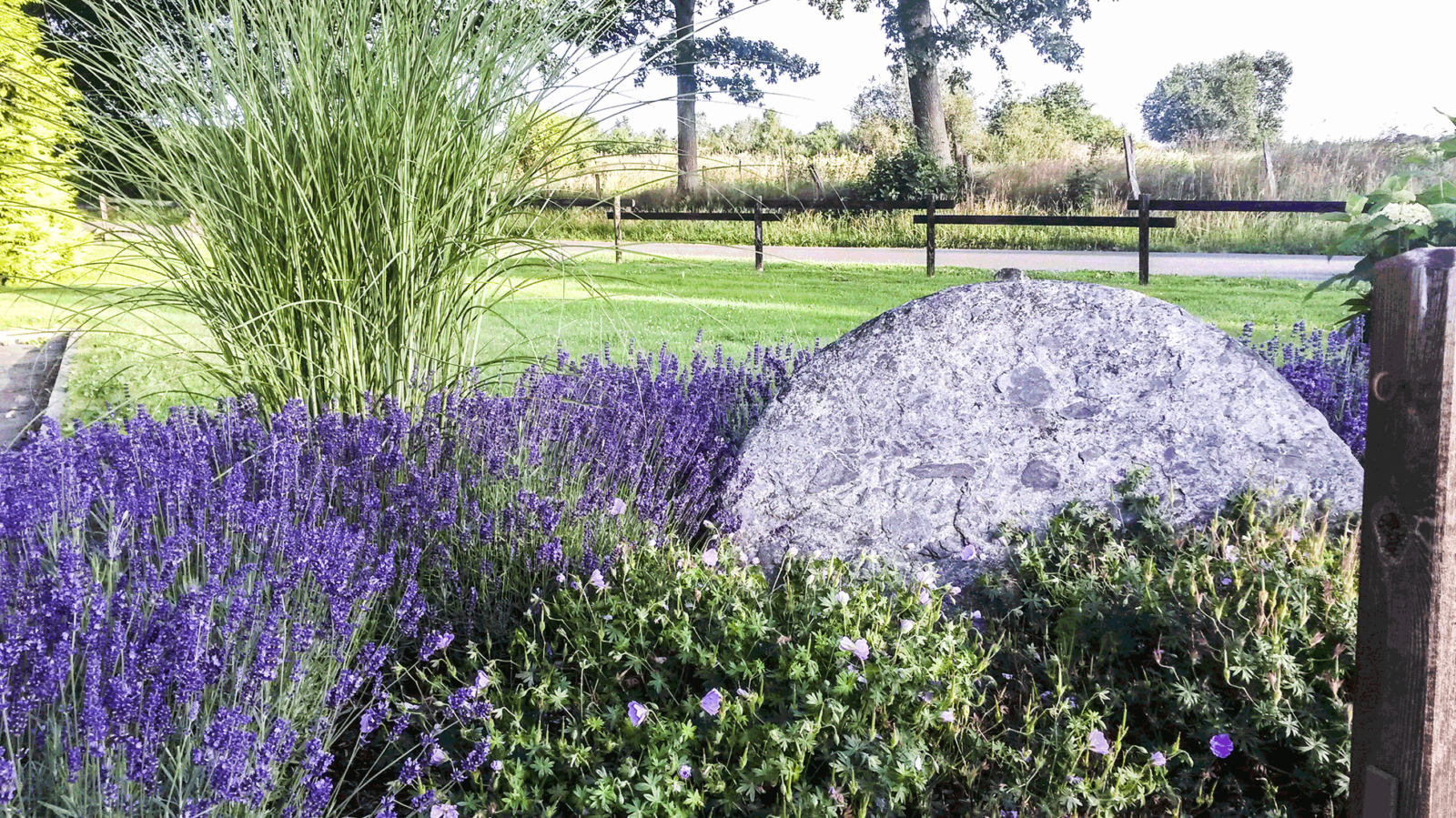 06 Imbaum pflanzung 2a 1600x899